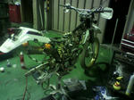 P1000295.JPG