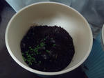 130428_203705.jpg