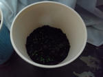 130428_203717.jpg