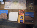 DSCF8399.jpg