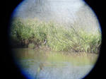 aRIMG0204.JPG