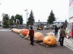 RIMG0001.JPG