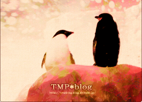 TMP*blog
