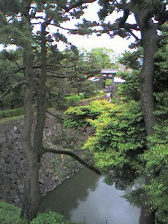 08-05-11_13-39.jpg