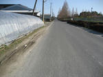 IMG_3194.JPG