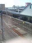 090305_1336~0001.jpg