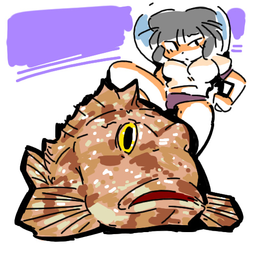 bloomers ブルマ　marbled rockfish