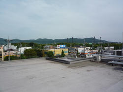 02631317.jpg