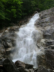 e7e45709.jpg