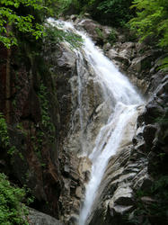 fec74546.jpg