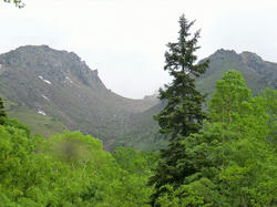 86250f63.jpg