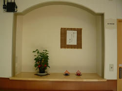 P1050436.jpg