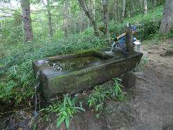 ad7d7590.jpg