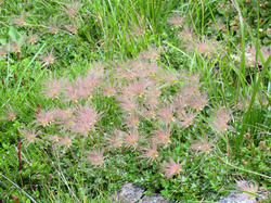 d0813f9c.jpg