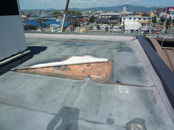 P1010673.jpg