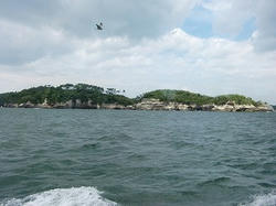 PICT0009.jpg