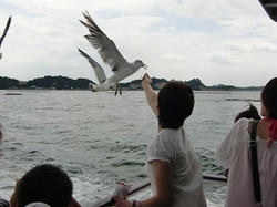 PICT0010.jpg