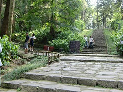 PICT0017.jpg