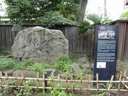 PICT0019.jpg