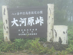 b0cbc915.jpg