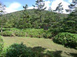 22d88c33.jpg
