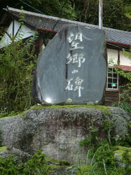 010.jpg