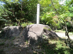 f3157739.jpg