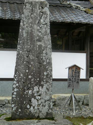 f16e4923.jpg
