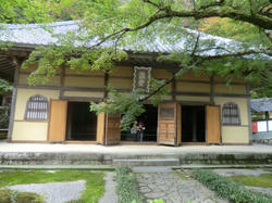 78542e04.jpg