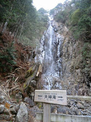 a8010d5e.jpg