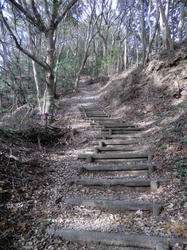 d89d8d57.jpg