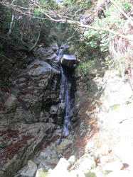 CIMG0954.jpg