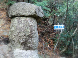 CIMG0977.jpg