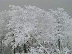 e7262762.jpg