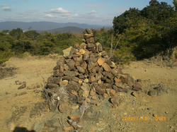 e51138e7.jpg
