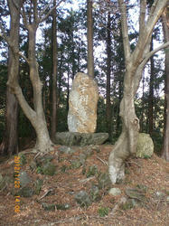 2859fcb7.jpg