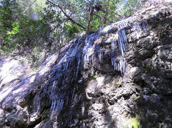 26f6f676.jpg