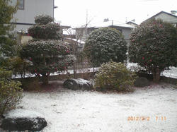 0e0066b8.jpg