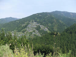 DSCF1455.jpg