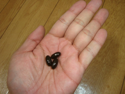 届いたomx生酵素を開けてみました Omx生酵素の人気の秘密は 生酵素の高い評価だった