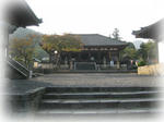 nara06