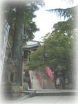 nara11a