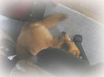 komo0202a