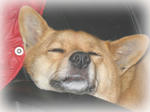 komo0214a