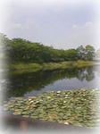 公園02