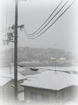 雪01