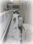 雪02