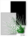 春の花01