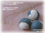 フウセンカズラのたね