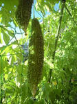 20110713a